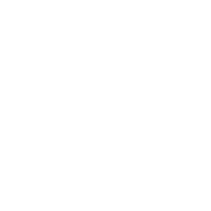 Havas Media
