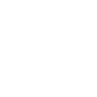 Havas Life
